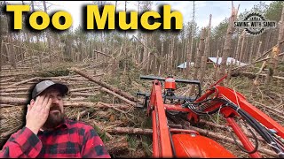 Carving a Path Through a Storm Ravaged Forest