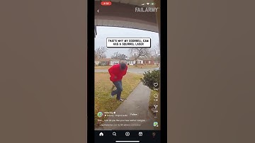 Squirrel attack caught on camera #squirrelattack #Squirrel #funny #comedy #viral #clips #Shorts
