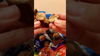 Soft & Sweet Black Xalba With Yummy Sunflower Seed