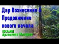 🔹Дар Вознесения 6 Продолжение нового начала Архангела Михаила-ченнелинг