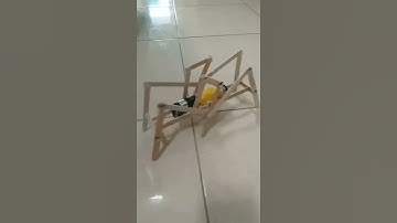 Six legged robot