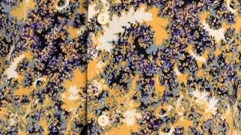 PBS Nova - Fractals - Hunting the Hidden Dimension (clip)