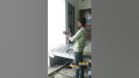 Snake Catcher Death | Rest In Peace #viral #shorts #shortvideo #snakecatcher #snakeman #viralvideo