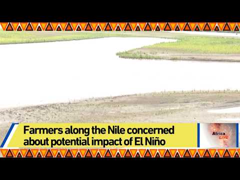 Farmers along the Nile concerned about potential impact of El Niño