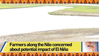 Farmers along the Nile concerned about potential impact of El Niño