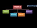 Estructura y Organización de las Proteínas