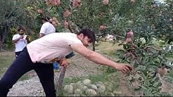 Anubhav Mohanty Youtube