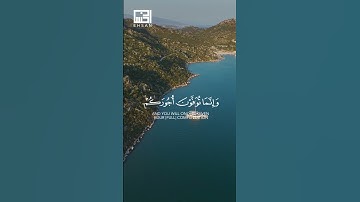 ﴿ كل نفس ذائقة الموت ﴾ تلاوة مؤثرة | فارس عباد | سورة آل عمران