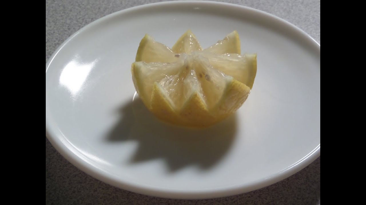 How To Make A Lemon Flower YouTube How To Make A Lemon Flower YouTube