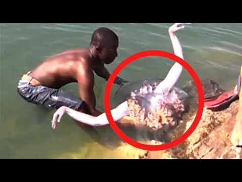 He finds Real Life Mermaid... Then This Happens..
