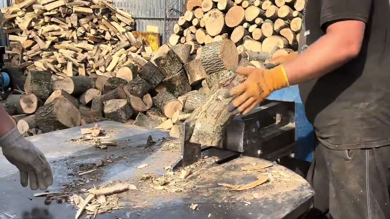 🪵🪵🪵🪵🪵🪵