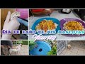 Baño a perros| les presento a mis mascotas #videovlog #vidareal #familia