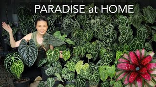 RESORT GARDEN 🌴 at HOME | DIY TROPICAL COSY BACKYARD  with 8 EASY Garden Design Tips