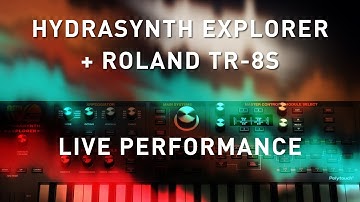 HYDRASYNTH EXPLORER + ROLAND TR-8S - Live Performance