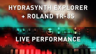 HYDRASYNTH EXPLORER + ROLAND TR-8S - Live Performance