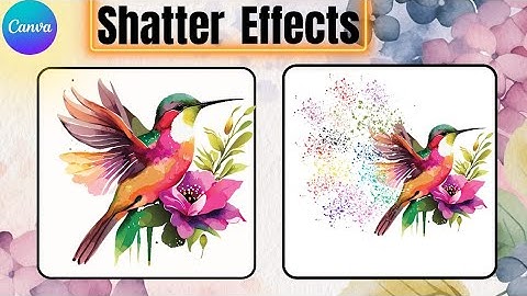 Create bird shatter effect in canva | Canva tutorial
