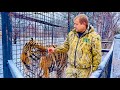 Олег Зубков показывает Вестям России как как зимуют животные в Тайгане!