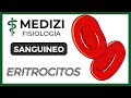 Clase 32 Fisiología Sanguínea - Eritrocitos