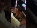 fighter cat sleep in my house everyday แมวมาขอกินนอนที่บ้านทุกวัน