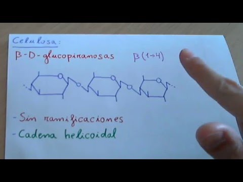 Vídeo: Interacciones Moleculares Interfaciales De Celobiohidrolasa Cel7A Y Sus Variantes En Celulosa