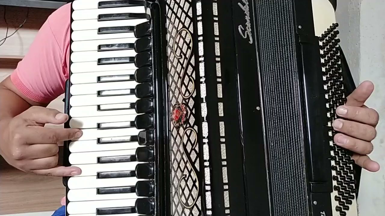 Vídeo Aula Acordeon Do Outro Lado Da Cidade