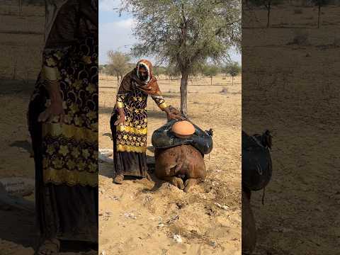 س ق وط الإ ن اء ل م ي ك ن س ق وط ط ين ب ل س ق وط أ م ل ع ط ش ان