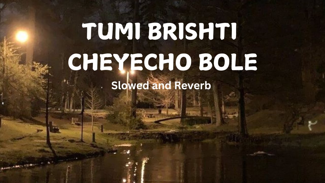 Tumi Bristi Cheyecho Bole | তুমি বৃষ্টি চেয়েছো বলে | Slowed and Reverb | Muntasir Creation