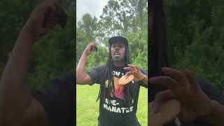 Manatee Doing This In Florida