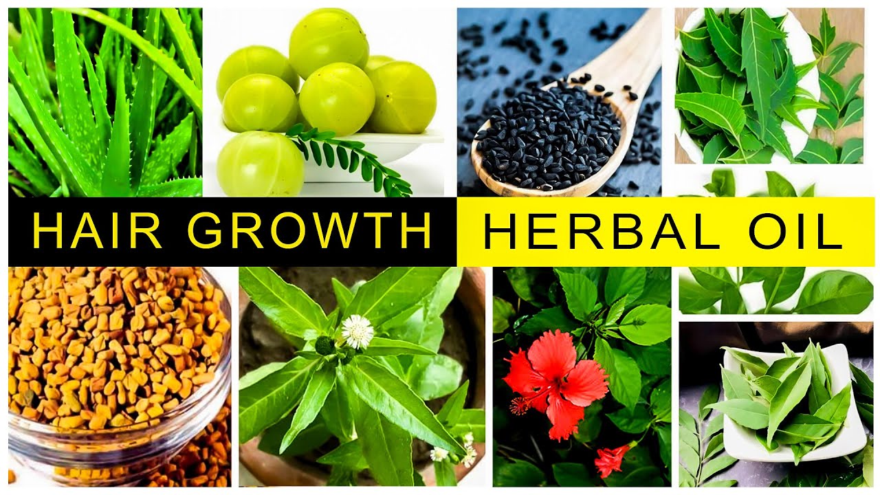 Homemade Herbal Hair Oil || fast hair growth || bangalore 2024