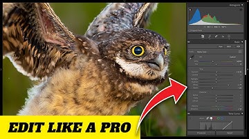 Lightroom Classic 2024: A Beginner