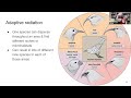 Types of Speciation