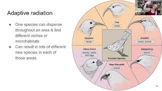 Types of Speciation