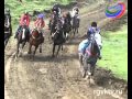 В скачках в Ботлихском районе приняли участие лучшие скакуны Дагестана и Чеченской Республики