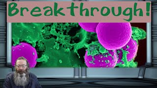 Bacteria killed by new light-activated coating