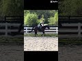 Let S Not Judge My Form I Was Trying To Not Die And My Saddle Is Not Built For This 