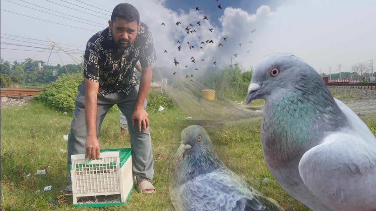 আজকে থেকে পাল্লা দেওয়া শুরু করলাম