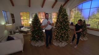 Bethlehem Lights Incandescent Starburst Tip Christmas Tree on QVC