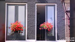 Albi Nadak  Malay Translation