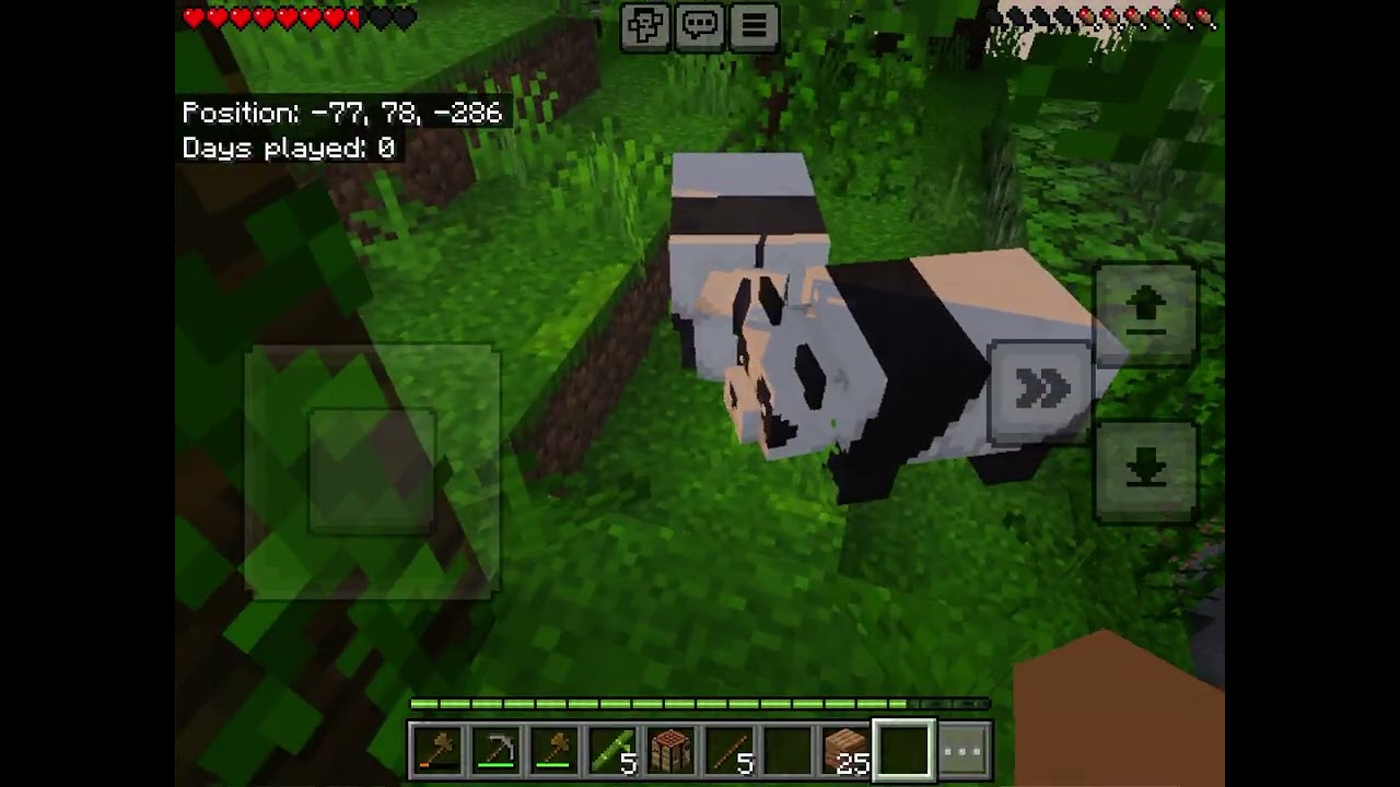 Valentine's Day special minecraft let's play