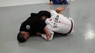 20200703 팀 고릴라주짓수 네트워크 지도자 합동수련 (Brown : 남하룡)
