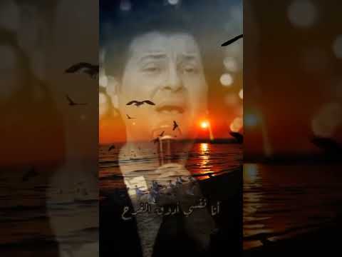 احزان هاني شاكر