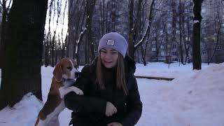 Winter fun with beagle Gina by Good Life Zone 243 views 2 years ago 47 seconds