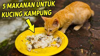 5 Makanan untuk Kucing Kampung Agar Gemuk dan Sehat!