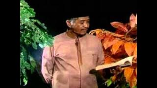 KHM. Luqman Hakim, Ph.D - Pohon Ma'rifat - Sufi TV from TV9 (Surabaya)