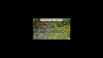 سورة النور تلاوت قران كريم سعد ايوب #مشاري_العفاسي #تلاوات #سعد