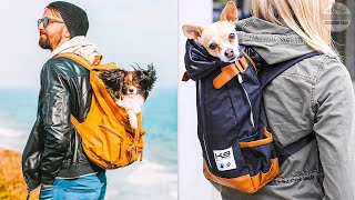 Best Dog Backpack Carriers 2023   Top 5 Best Dog Carrier Backpacks for Hiking