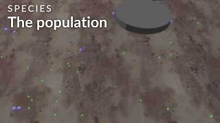Species - Creatures roaming about (AI/Artificial Life legacy project)