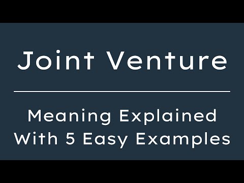 Venture Example Sentence