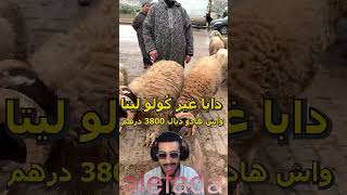 دابا غير كولو لينا واش هاد لحوالا ديال 3800 درهم وباز لهاد الشناقة