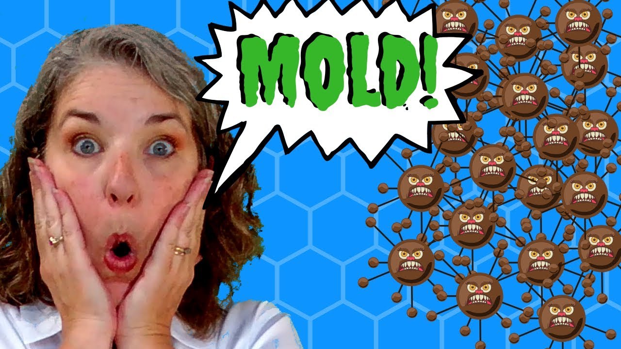 Mold Attack!! Tearing Up the House!